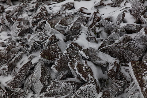 Textur, Winter, Patrick Hendry, Felsen, Hintergrund, Schnee, Vollbild, kalte Temperatur, Hintergründe, keine Leute, Natur, Tag, Nahansicht, High Angle View, Abdeckung, gefroren, draußen, Land, Schönheit in der Natur, texturiert, große gruppe von gegenständen, Feld, Essen und Trinken, Pulverschnee, 8K, CC0, gemeinfrei, lizenzfrei