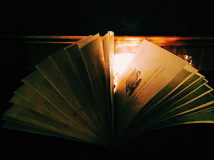 Barra, publicação, livro, folha, parte da planta, fechar-se, abrir, página, ninguém, dentro de casa, Educação, natureza, tiro do estúdio, papel, visão de alto ângulo, ainda vida, mesa, leitura, velho, fundo preto, literatura, livro de capa dura, 1080P, CC0, domínio público, royalty free