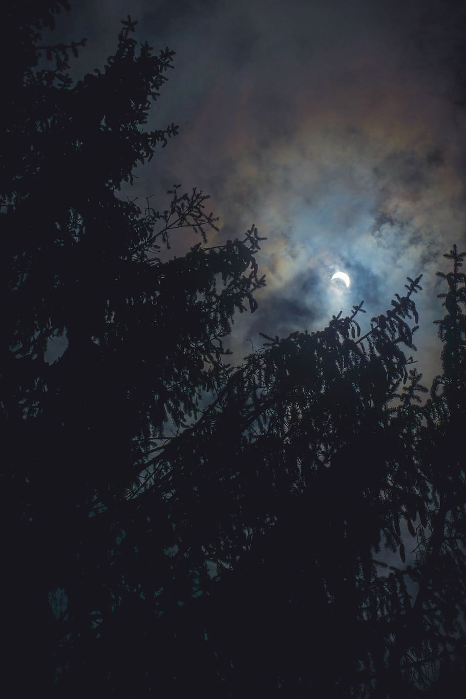 arbre, nova Anglaterra, connecticut, eclipse2017, 2017, estiu, canviant d'humor, núvol, ennuvolat, cel, univers, Eclipsi solar, sol, Via Làctea, solarsytem, eclipsi, núvol - cel, vista d’angle baix, planta, nit, bellesa a la natura, naturalesa, cap gent, tranquil·litat, lluna, escenics - natura, a l'aire lliure, escena tranquil·la, silueta, vespre, creixement, branca, llum de la lluna, 5K