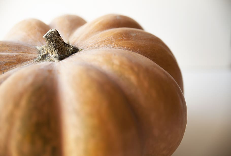 abóbora, vegetal, haste, laranja, comida e bebida, Comida, fechar-se, bem-estar, Alimentação saudável, frescura, dentro de casa, foco seletivo, ninguém, ainda vida, tiro do estúdio, close-up extremo, grupo de objetos, único objeto, cebola, maduro, fruta, ingrediente, 5K
