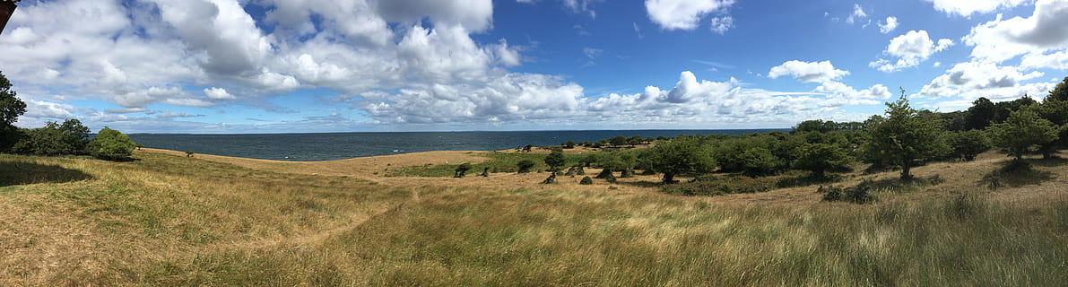 panorama, grama, eng, nuvens, exterior, céu, verão, pastagem, panorâmica, meio Ambiente, plantar, scenics - natureza, terra, nuvem - céu, natureza, árvore, agua, mar, de praia, litoral, tranquilidade, dia, cena tranquila, ninguém, beleza na natureza, ao ar livre, semi-árido, 8K, CC0, domínio público, royalty free