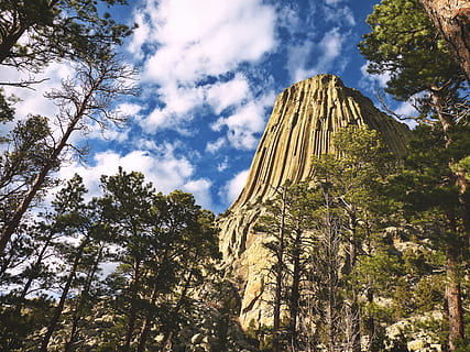 Vereinigte Staaten, Teufelsturm, Turm, Teufel, Himmel, Bäume, Nationalpark, Monument, Natur, Berg, Pflanze, wolke - himmel, Baum, Schönheit in der Natur, Flachwinkelansicht, Szenen - Natur, Ruhe, ruhige Szene, keine Leute, Nicht-städtische Szene, Rock, Tag, Wachstum, Felsformation, Rock - Objekt, Reiseziele, Gebirge, draußen, Formation, Gipfel, 4K, CC0, gemeinfrei, lizenzfrei