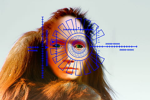 evolució, orangutan, mico, humà, robot, escàner d'iris, escaneig, ull, desenvolupament, endavant, darvin, biometria, una persona, tirada al cap, retrat, pentinat, adult jove, cabell, dones, cabell castany, adult, primer pla, part del cos humà, cabell llarg, vista del darrere, a l'interior, part del cos, dones joves, persones reals, art i artesania, rellotge, cara oculta, 5K, CC0, domini públic, lliure de regalies