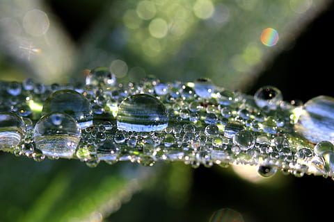 Makrofotografie, Pflanze, Wassertropfen, verwischen, Blase, sauber, klar, Nahansicht, Tau, fallen, Tröpfchen, Horizont, Landschaft, Makro, Reflexion, Spritzen, Sonnenuntergang, Kofferraum, Türkis, Wasser, nass, Natur, selektiver Fokus, Frische, keine Leute, grüne Farbe, Schönheit in der Natur, Reinheit, Blatt, draußen, Pflanzenteil, extreme Nahaufnahme, Verletzlichkeit, Regentropfen, 5K, CC0, gemeinfrei, lizenzfrei