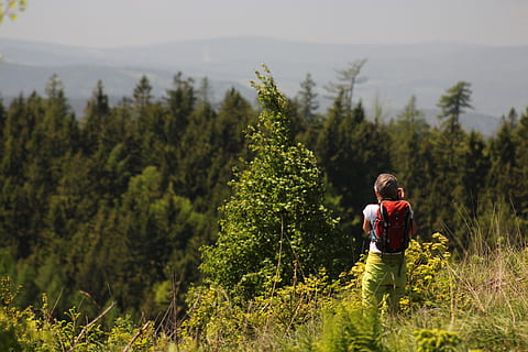 kvinde, stående, foran, grøn, blade træer, rygsæk, kamera, dagslys, miljø, Skov, pige, græs, vandretur, landskab, bjerge, natur, person, naturskøn, himmel, tager foto, tager billede, træer, plante, træ, rigtige mennesker, vækst, en person, skønhed i naturen, herrer, jord, grøn farve, barn, scenics - natur, fritidsaktivitet, dag, hanner, livsstil, barndom, rolig scene, ikke-urbane scene, udendørs, 5K, CC0, offentligt domæne, royaltyfrie