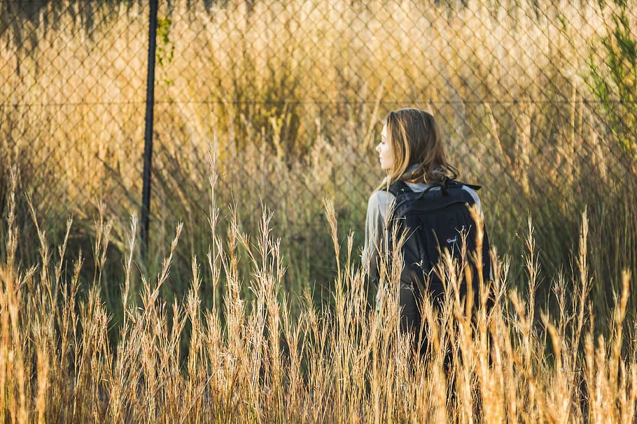 herba, explorant, tanca, frontera, motxilla, fotografia, noia, cerca, perdut, destinació, autum, naturalesa, vista del darrere, una persona, planta, terra, persones reals, activitat d'oci, camp, pentinat, roba casual, cabell, dones, dia, estils de vida, adult, cabell llarg, a l'aire lliure, llum solar, 4K