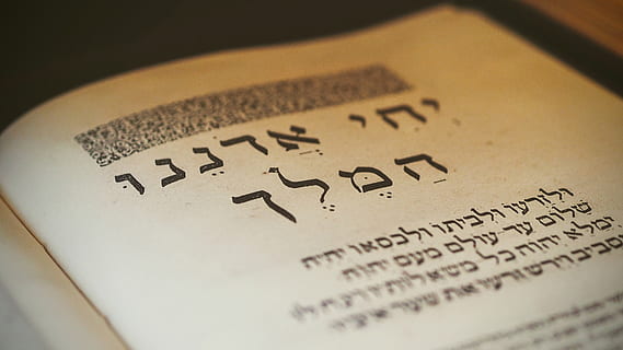 otevřenou knihu, text, rukopis, kaligrafie, selektivní zaměření, sdělení, papír, uvnitř, detail, západní skript, nikdo, vzdělání, rezervovat, víra, umělecká kultura a zábava, náboženství, vydání, inkoust, strojopis, zákon, Dějiny, zpráva, 4K, CC0, veřejná doména, bez autorských práv