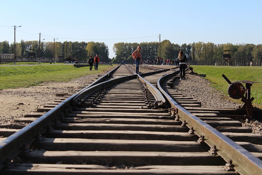 binari, auschwitz, Polònia, holocaust, birkenau, camp, concentració, tren, Jueus, ferrocarril, vies del ferrocarril, pista, grup de persones, el camí a seguir, direcció, transport, transport per ferrocarril, cel, naturalesa, dia, homes, persones reals, llum solar, cel clar, planta, a l'aire lliure, metall, perspectiva decreixent, gran grup de persones, arbre, 5K
