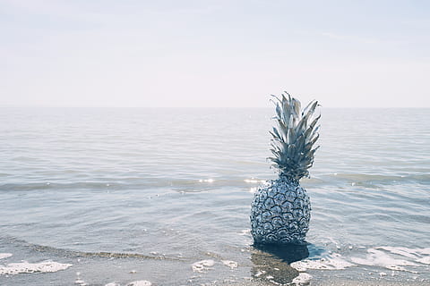 pinya, postres, aperitiu, fruita, suc, cultiu, platja, oceà, mar, sorra, onades, horitzó sobre l’aigua, aigua, horitzó, naturalesa, bellesa a la natura, cel, tranquil·litat, cap gent, escena tranquil·la, escenics - natura, dia, terra, planta, còpia espai, idíl·lic, cel clar, davant del mar, 5K, CC0, domini públic, lliure de regalies