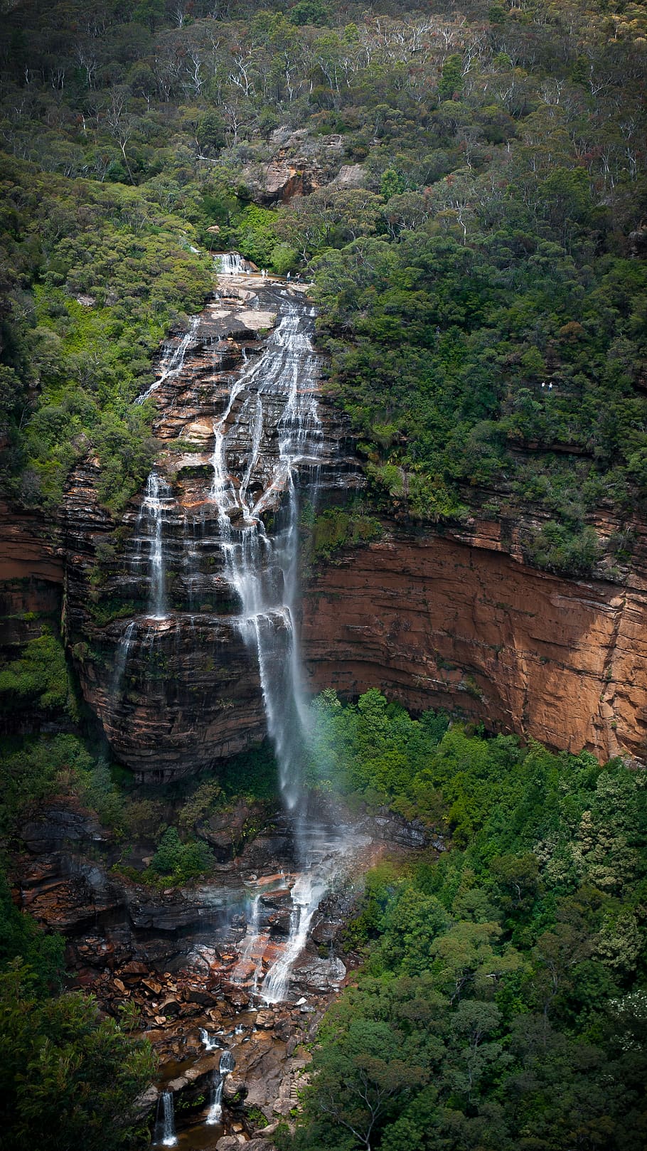 vodopády, vodopád, voda, řeka, venku, Austrálie, deštný prales, les, strom, keř, džungle, Příroda, krajina, wentworth padá, zátoka, proud, Skála, útes, hora, úpadek, rostlina, pohyb, přistát, krása v přírodě, scenics - příroda, rozmazaný pohyb, dlouhé expozice, rock - objekt, mimoměstské scény, Skalní formace, životní prostředí, tekoucí voda, nikdo, moci, tekoucí, padající voda, 4K