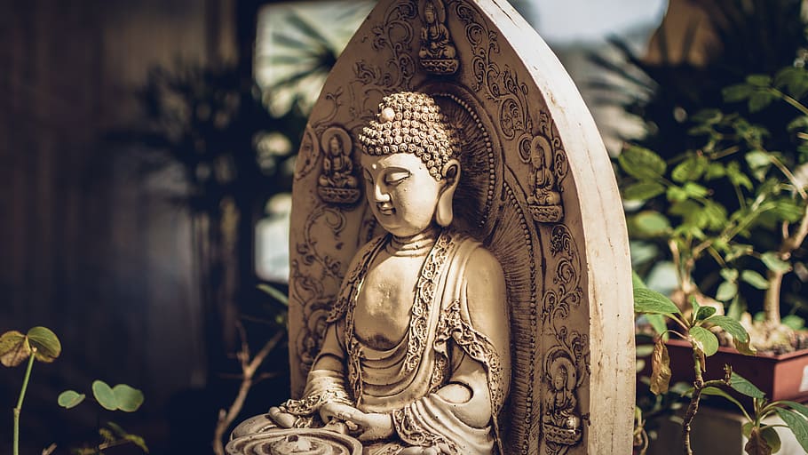statua di gautama, Budda, arte, culto, pianta in vaso, ceramica, vaso, pianta, flora, statua, argentina, Parana, giardino, Buda, India, spirituale, religione, buddismo, Statua di Buddah, vite, arte e artigianato, credenza, spiritualità, creatività, rappresentazione umana, rappresentazione, avvicinamento, scultura, concentrarsi sulle conoscenze acquisite, nessuno, mestiere, in casa, somiglianza maschile, giorno, modello, architettura, struttura costruita, ornato, motivo floreale, intaglio, 5K