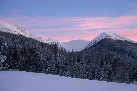 arbres i muntanya, planta, arbre, avet, abies, davos, schweiz, neu, naturalesa, a l'aire lliure, pi, conífera, hivern, gel, suïssa, cel, foc de muntanya, foc, muntanyes, alba, Alps, temperatura de fred, escenics - natura, muntanya, bellesa a la natura, escena tranquil·la, tranquil·litat, paisatge, Serra, escena no urbana, medi ambient, cap gent, núvol - cel, posta de sol, muntanya nevada, cim de muntanya, arbre de coníferes, 5K, CC0, domini públic, lliure de regalies