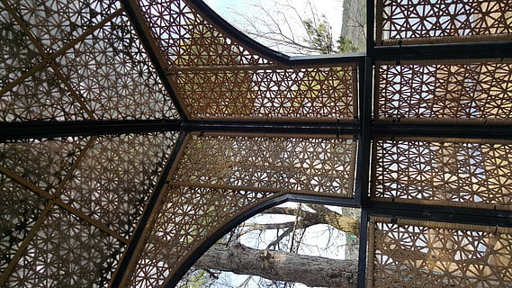 gall dindi, ankara, estructura construïda, patró, arquitectura, finestra, a l'interior, vidre - material, cap gent, transparent, vista d’angle baix, dia, disseny, marc complet, metall, fons, forma geomètrica, edifici, forma, sostre, vidre, claraboia, ornamentat, 5K, CC0, domini públic, lliure de regalies