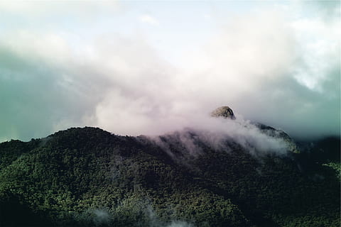 muntanyes, núvols, cel, bellesa a la natura, escenics - natura, tranquil·litat, escena tranquil·la, núvol - cel, arbre, escena no urbana, muntanya, planta, naturalesa, cap gent, dia, medi ambient, boira, paisatge, terra, idíl·lic, fum - estructura física, a l'aire lliure, cim de muntanya, 1080P, CC0, domini públic, lliure de regalies
