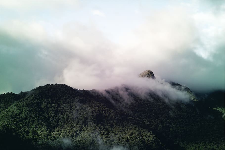 muntanyes, núvols, cel, bellesa a la natura, escenics - natura, tranquil·litat, escena tranquil·la, núvol - cel, arbre, escena no urbana, muntanya, planta, naturalesa, cap gent, dia, medi ambient, boira, paisatge, terra, idíl·lic, fum - estructura física, a l'aire lliure, cim de muntanya, 1080P