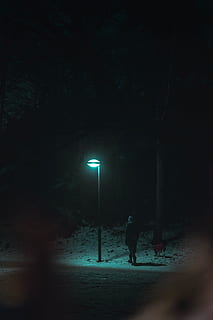mężczyzna, na stojąco, pod spodem, światło, słup latarni ulicznej, człowiek, osoba, noc, lampa, lampa podłogowa, ciemny, śnieg, spacerować, podłoga, skupiać, psi, zwierzę domowe, pies, ssak, zwierzę, migotać, koło ratunkowe, asfalt, oświetlony, ulica, światła, pieszy, osoba nie do poznania, prawdziwi ludzie, pełna długość, Natura, styl życia, Miasto, widok z tyłu, mężczyźni, wylądować, drzewo, sprzęt oświetleniowy, ludzie, na dworze, 5K, CC0, domena publiczna, darmowe zdjęcia