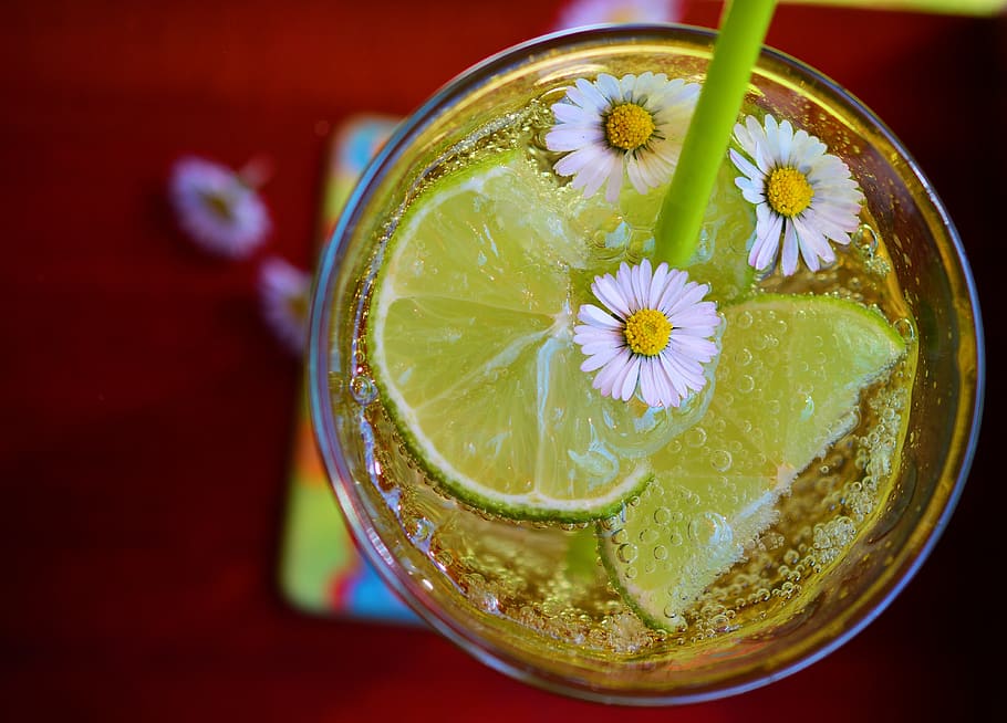 piatto, posare, fotografia, bevanda a base di lime, bevanda, agrume, freddo, margherita, bere, frutta, bicchiere, ghiaccio, succo, lime, liquido, rinfrescante, fetta, cibo e bevande, agrumi, mangiare sano, cibo, rinfresco, freschezza, attrezzature domestiche, Limone, avvicinamento, nessuno, in casa, benessere, direttamente sopra, vista dall'alto, cocktail, erba, contorno, 4K