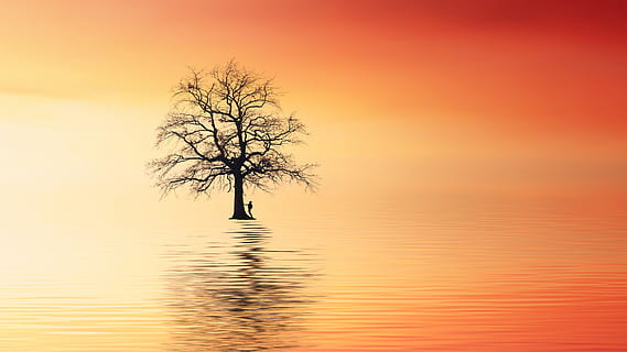 árbol, Oceano, puesta de sol, vagabundo, kahl, calentar, rojo, naranja, agua, naturaleza, cielo, noche, reflexión, Dom, vacaciones, amanecer, Abendstimmung, oscuridad, estado animico, descanso, imagen de fondo, fondo de escritorio, belleza en la naturaleza, silueta, paisajes - naturaleza, tranquilidad, color naranja, planta, frente al mar, escena tranquila, árbol desnudo, idílico, nadie, lago, al aire libre, 5K, CC0, dominio público, libre de derechos