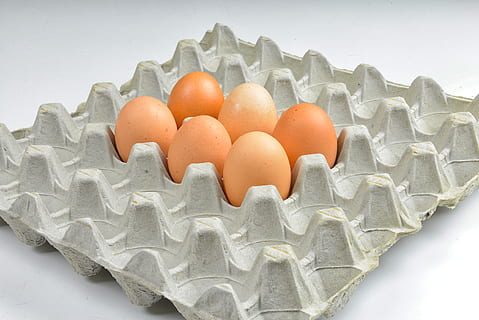 egg, hen's egg, easter, protein, egg packaging, eggshell, food, food and drink, studio shot, indoors, still life, white background, no people, freshness, healthy eating, wellbeing, close-up, raw food, large group of objects, high angle view, arrangement, egg carton, nature, order, fragility, 5K, CC0, public domain, royalty free
