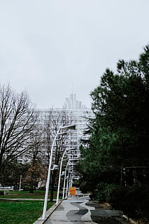 efterlys, fortov, træ, plante, natur, udendørs, gran, abies, Spir, arkitektur, tårn, bygning, vegetation, vej, by-, nåletræ, by, asfalt, is, bygget struktur, himmel, transportmidler, dag, ingen mennesker, bygning udvendig, vejen frem, retning, transportform, motor køretøj, forbindelse, 5K, CC0, offentligt domæne, royaltyfrie