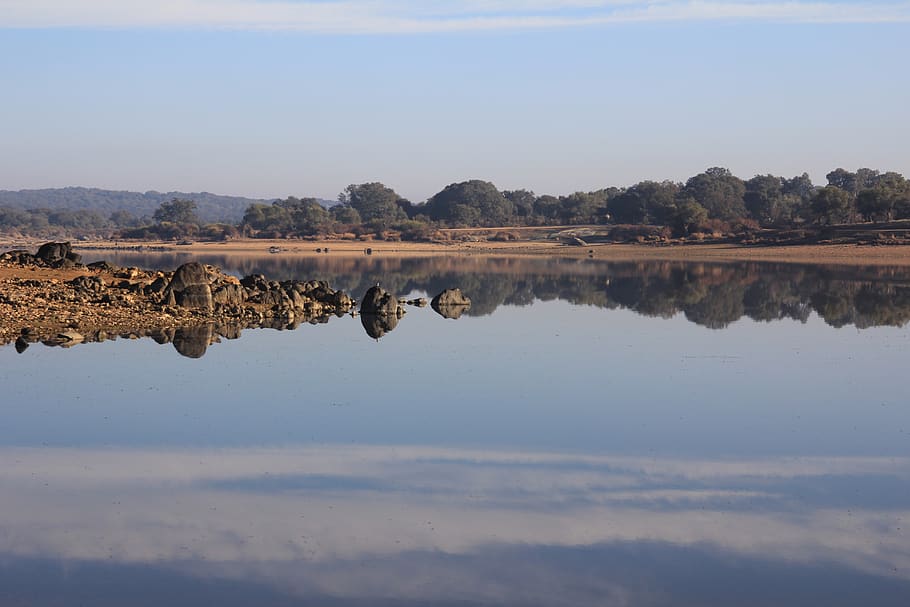 specchio, mare, mirroring, riflessione, natura, paesaggio, acqua, Magia, cielo, la tranquillità, scenics - natura, scena tranquilla, bellezza nella natura, lungomare, nuvola - cielo, nessuno, giorno, lago, albero, scena non urbana, pianta, ambiente, idilliaco, simmetria, all'aperto, sale piatto, 5K