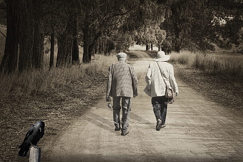 trail, path, elderly, walk, people, rear view, walking, tree, full length, plant, real people, men, togetherness, adult, women, casual clothing, lifestyles, day, leisure activity, footpath, direction, two people, nature, outdoors, warm clothing, couple - relationship, 5K, CC0, public domain, royalty free