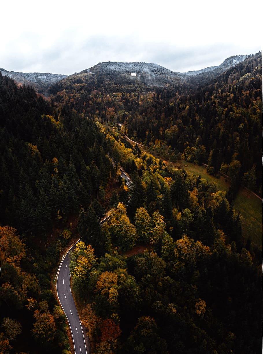 buit, carretera, bosc, muntanya, tardor, paisatge, Halloween, carrer, a dalt, Alemanya, caure, hivern, drone, arbre, carretera sinuosa, escenics - natura, planta, bellesa a la natura, escena tranquil·la, tranquil·litat, cel, medi ambient, escena no urbana, naturalesa, cap gent, dia, creixement, transport, vista d’angle alt, carretera de muntanya, a l'aire lliure, canvi, 2K