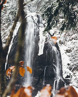 cascades, riu, aigua, a l'aire lliure, naturalesa, cascada, abella, mel d'abella, insecte, animal, invertebrat, planta, arbre, vegetació, terra, gel, neu, activitats de lleure, aventura, avet, abies, moviment, rock, exposició llarga, sòlid, cap gent, rock - object, dia, bellesa a la natura, moviment borrós, escenics - natura, aigua que flueix, que flueix, medi ambient, rierol: aigua que flueix, poder a la natura, 4K, CC0, domini públic, lliure de regalies