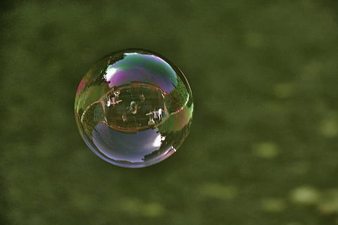 pomp, bubble, bubbles, fun, child, weightless, flying, sphere, reflection, transparent, vulnerability, mid-air, close-up, fragility, nature, no people, soap sud, geometric shape, outdoors, circle, shape, day, shiny, focus on foreground, plant, 5K, CC0, public domain, royalty free