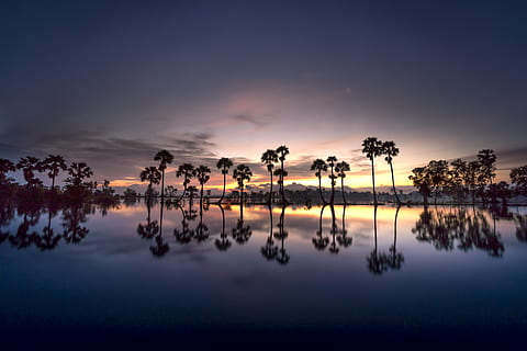 ภาพเงาของต้นไม้, ชายหาด, เมฆ, Cloudscape, รุ่งอรุณ, พลบค่ำ, ตอนเย็น, ขอบฟ้า, ทะเลสาป, ภูมิประเทศ, ธรรมชาติ, มหาสมุทร, กลางแจ้ง, การสะท้อน, ที่สวยงาม, ทะเล, ภาพทะเล, ชายทะเล, ภาพเงา, ท้องฟ้า, Skyscape, ดวงอาทิตย์, พระอาทิตย์ตกดิน, การท่องเที่ยว, น้ำ, ต้นไม้, Scenics - ธรรมชาติ, ความงามในธรรมชาติ, ความเงียบสงบ, ฉากที่เงียบสงบ, ปลูก, เมฆ - ท้องฟ้า, ไม่มีคน, สภาพภูมิอากาศแบบร้อนชื้น, งดงาม, ฉากที่ไม่ใช่ในเมือง, เงาสะท้อน, 8K, CC0, โดเมนสาธารณะ, ค่าลิขสิทธิ์ฟรี