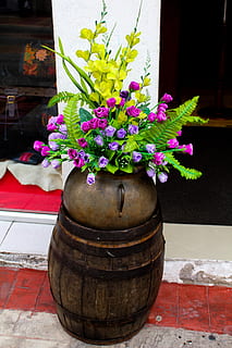 ecuador, cotacachi, flower, flowering plant, plant, potted plant, nature, freshness, no people, fragility, vulnerability, close-up, beauty in nature, indoors, growth, vase, flower pot, day, petal, decoration, pink color, flower head, flower arrangement, 5K, CC0, public domain, royalty free