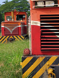 --, around, 70 years, ago, narrow, gauge, diesel, train, engine, old, broken, vintage, radiator, body, iron, rust, paint, lights, transport, chimney, exhaust, cabin, window, dilapidated, field, grass, trees, sun, sunshine, stripes, black, red, yellow, perspective, land vehicle, mode of transportation, day, transportation, metal, no people, plant, nature, outdoors, truck, abandoned, rusty, land, obsolete, stationary, 1080P, CC0, public domain, royalty free