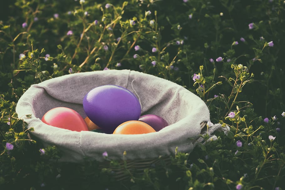 Pasqua, ous de Pasqua, ous de colors, ou, de colors, cistella, tema de pasqua, ous de pollastre, menjar, pintat, color, niu de Pasqua, tradicionalment, salutacions de pasqua, ou de Pasqua, planta, celebració, naturalesa, planta amb flors, multicolor, flor, festa, primer pla, menjar i beguda, cap gent, dia, frescor, herba, creixement, enfocament selectiu, a l'aire lliure, porpra, 4K