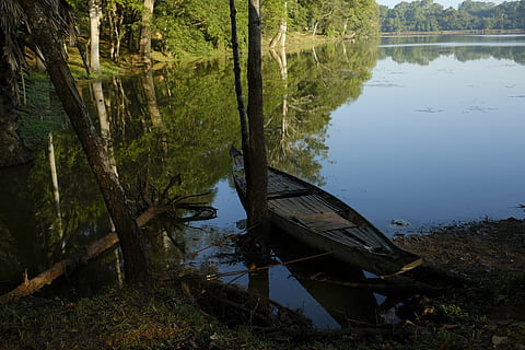 Wald, Sonne, Licht, Zeit, Refektion, Himmel, Gelb, Grün, Boot, Baum, Blau, Wasser, Ruhe, Pflanze, ruhige Szene, Reflexion, Natur, See, Wasserfahrzeug, Schönheit in der Natur, Transport, Szenen - Natur, Tag, Land, keine Leute, Transportmittel, Strand, Nicht-städtische Szene, draußen, Ruderboot, 5K, CC0, gemeinfrei, lizenzfrei
