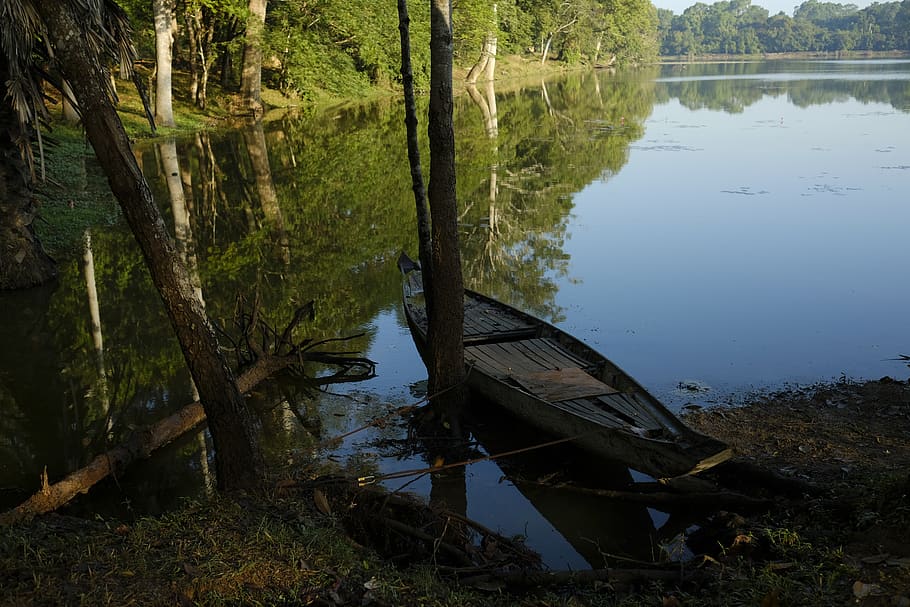 bosc, sol, llum, temps, refecció, cel, groc, verd, vaixell, arbre, blau, aigua, tranquil·litat, planta, escena tranquil·la, reflexió, naturalesa, llac, vaixell nàutic, bellesa a la natura, transport, escenics - natura, dia, terra, cap gent, manera de transport, platja, escena no urbana, a l'aire lliure, barca de rems, 5K