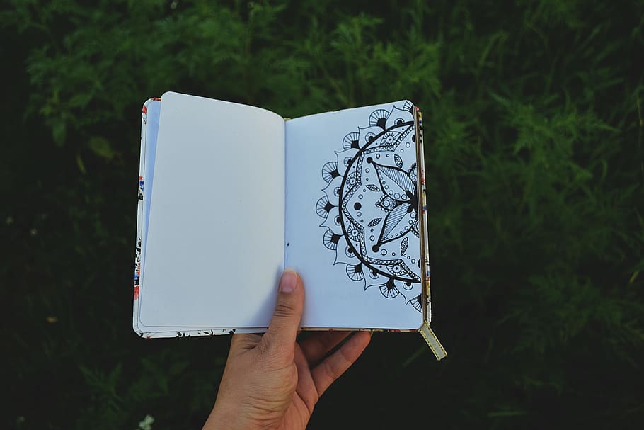 persona, celebració, obert, llibre, floral, dibuix, diari, mà, revista, quadern, llibre obert, pàgines, mà humana, part del cos humà, persona irreconeixible, estils de vida, gent, activitat d'oci, planta, perspectiva personal, persones reals, paper, publicació, art i artesania, dia, naturalesa, activitat, centrar-se en primer pla, dit, a l'aire lliure, 5K