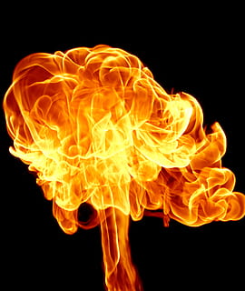 fire, flame, hell, cooking, black, burn, heat, detail, closeup, wallpaper, warm, barbecue, flametongue, bonfire, blazing, fiery, campfire, flammable, burning, black background, heat - temperature, fire - natural phenomenon, studio shot, orange color, sign, no people, motion, yellow, warning sign, close-up, nature, communication, black color, igniting, glowing, abstract, inferno, 1080P, CC0, public domain, royalty free