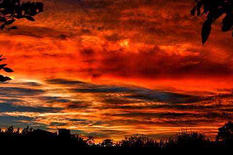 silhuet, træer, solnedgang, baggrundsbelyst, skyer, cloudscape, mørk, daggry, dramatisk, landskab, natur, himmel, vejr, orange farve, sky - himmel, skønhed i naturen, scenics - natur, ingen mennesker, træ, dramatisk himmel, plante, idyllisk, udendørs, ild, flamme, brænding, brand - naturligt fænomen, varme - temperatur, miljø, 5K, CC0, offentligt domæne, royaltyfrie