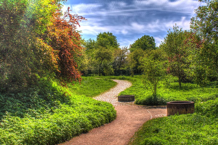 tardor, fulles, arbres, fons, octubre, hdr, lluny, naturalesa, contrast, cel, paisatge, fred, escènic, planta, arbre, color verd, creixement, bellesa a la natura, tranquil·litat, herba, el camí a seguir, escena tranquil·la, sendera, cap gent, direcció, núvol - cel, dia, escenics - natura, terra, medi ambient, parc, a l'aire lliure, ruta, 4K