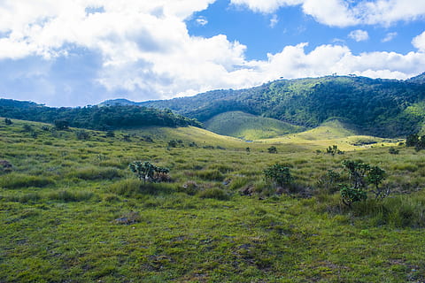 campo de hierba verde, nubes, luz, ambiente, campo, bosque, hierba, pradera, verde, paisaje, montañas, naturaleza, escénico, visión, cielo, arboles, Valle, fotografía gran angular, nube - cielo, tranquilidad, planta, escena tranquila, paisajes - naturaleza, belleza en la naturaleza, escena no urbana, color verde, tierra, montaña, árbol, crecimiento, nadie, día, al aire libre, 5K, CC0, dominio público, libre de derechos
