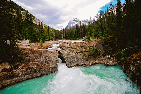 fiume, circondato, verde, alberi di pino, luce del giorno, ambiente, flusso, foresta, paesaggio, montagne, natura, rapide, rocce, panoramico, pietre, ruscello, alberi, acqua, boschi, bellezza nella natura, scenics - natura, albero, pianta, roccia, acqua corrente, cielo, movimento, roccia - oggetto, cascata, nuvola - cielo, scena non urbana, solido, lungomare, nessuno, scena tranquilla, fluente, all'aperto, flusso - acqua che scorre, 2K, CC0, dominio pubblico, privo di copyright