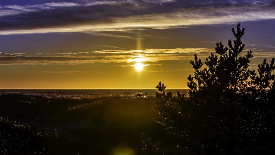 solnedgang, solnedgang himmel, skyer, strand, klitter, aften, skumring, himmel, landskab, natur, humør, romantisk, atmosfære, belysning, lyse, hav, sol, sent, gul, naturskøn, sen aften, litauen, vand, scenics - natur, sky - himmel, skønhed i naturen, rolig scene, ro, træ, plante, horisont, sollys, silhuet, horisont over vand, jord, idyllisk, ingen mennesker, udendørs, linseflare, 4K