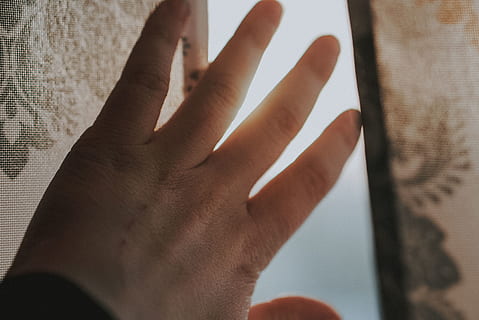 mão humana, pessoa, humano, dedo, mão, lentes de contato, unha, folhosa, madeira, Flor, plantar, margaridas, margarida, plectro, copo, café com leite, bebida, xícara de café, pele, parte do corpo humano, dedo humano, uma pessoa, dentro de casa, parte do corpo, fechar-se, adulto, tocando, focar em primeiro plano, pessoas reais, recurso de construção de parede, mulheres, homens, cortina, janela, estilos de vida, membro humano, 4K, CC0, domínio público, royalty free