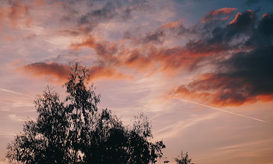 copac, apus de soare, amurg, seară, cer, skyporn, bătut de vânturi, Fierbinte, vară, accidente vasculare cerebrale, roșu, foc, casă, peisaj, în aer liber, culoare, lună, întuneric, zori de zi, nor - cer, plantă, frumusețe în natură, liniște, scenice - natura, siluetă, o scenă liniștită, culoare portocalie, natură, nici o persoana, dramatic cer, idilic, vedere unghiulară joasă, creştere, atmosfera moody, vârful copacului, 4K