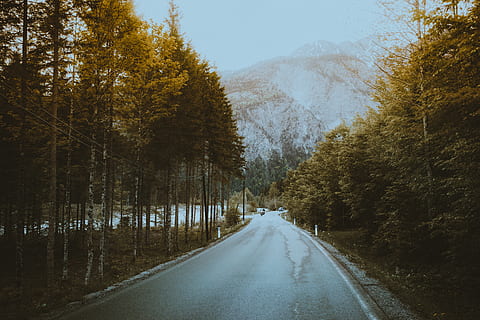 szary, Droga, Zielony, leafed, drzewa, droga polna, żwir, Natura, las, Autostrada, krajobraz, drzewo, podróżować, turnia, wycieczka samochodem, pustynia, Góra, wzgórze, drewno, sposób, na dworze, sceneria, flora, wegetacja, roślina, kierunek, droga naprzód, transport, malejąca perspektywa, żadnych ludzi, piękno natury, jesień, Znikający punkt, dzień, wiejska droga, spokój, pusta droga, kraj, scenics - natura, scena pozamiejska, zmiana, linia dzieląca, 5K, CC0, domena publiczna, darmowe zdjęcia