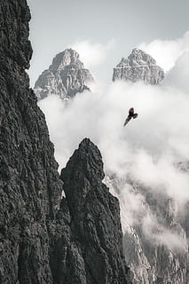 uccello, volante, montagna, falco, aquila, nube, nebbia, bianco e nero, monocromatico, sbiadito, natura, all'aperto, natura selvaggia, roccioso, pericoloso, carta da parati android, sfondo, roccia, autunno, formazione rocciosa, roccia - oggetto, bellezza nella natura, cielo, solido, scenics - natura, avventura, scena tranquilla, catena montuosa, persone reali, la tranquillità, attività di svago, una persona, giorno, scena non urbana, formazione, picco di montagna, 5K, CC0, dominio pubblico, privo di copyright