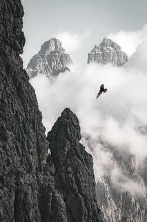 chel, vultur, zbor, formatie rock, stâncă, nori, rece, lumina zilei, ceaţă, cețos, înalt, peisaj, varf de munte, summit de munte, munţi, natură, natura tapet, roci, pitoresc, vârf, aripi, Munte, obiect de rocă, cer, frumusețe în natură, solid, scenice - natura, aventură, de munte, liniște, o scenă liniștită, oameni adevărați, munți stâncoși, o persoana, formare, scenă non-urbană, zi, în aer liber, 5K, CC0, domeniu public, fără drepturi de autor
