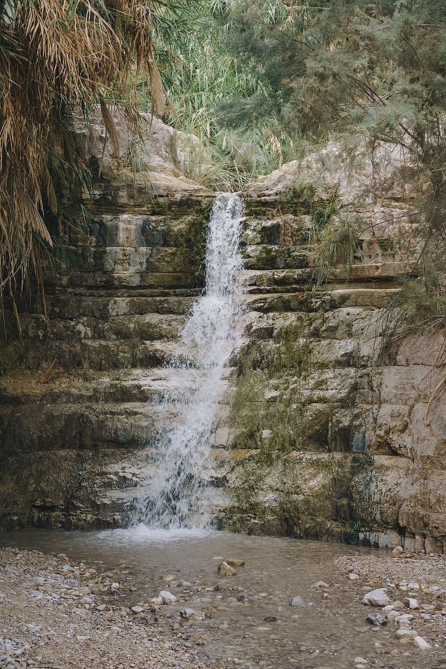 fotografia de lapse de temps, que flueix, cascada, la llum del dia, ein gedi, medi ambient, explorar, caure, verd, caminada, Israel, paisatge, Orient Mitjà, muntanya, naturalesa, a l'aire lliure, parc, riu, rock, escènic, pedra, corrent, estiu, turisme, viatjar, arbre, aigua, fusta, moviment, bellesa a la natura, bosc, terra, escenics - natura, aigua que flueix, exposició llarga, cap gent, planta, sòlid, rock - object, moviment borrós, dia, poder a la natura, caient aigua, 5K