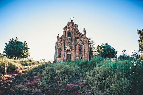 brun katedral, ruiner, bygning, arkitektur, hytte, hus, bolig, tårn, spir, bakke, anlegg, tre, gress, jord, borg, nåletre, kloster, sti, steinsprut, rot, bygget struktur, himmel, Religion, bygge eksteriør, tro, sted for tilbedelse, åndelighet, klar himmel, natur, historie, fortiden, dag, felt, ingen folk, 4K, CC0, offentlig domene, opphavsrett gratis