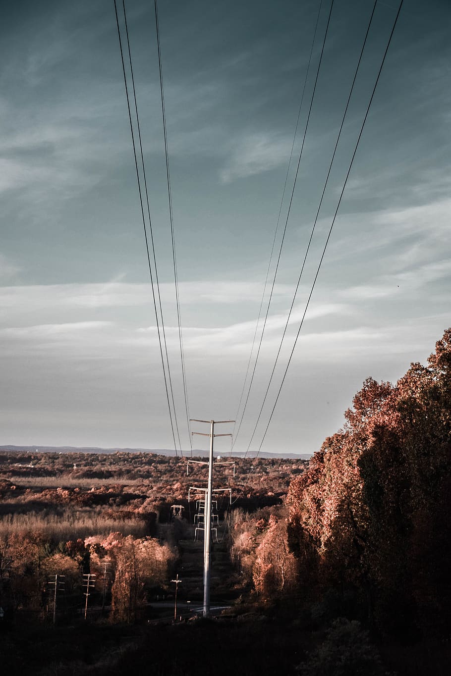 lloc d'utilitat, arbres, ennuvolat, cel, cables, corrent, línies elèctriques, llocs elèctrics, electricitat, energia, alt, alt voltatge, línia, cable de corrent, acer, pals d’utilitat, voltatge, cable, núvol - cel, arbre, tecnologia, línia elèctrica, planta, naturalesa, cap gent, piló d’electricitat, connexió, Font d'alimentació, bellesa a la natura, tranquil·litat, generació de combustible i energia, escenics - natura, escena tranquil·la, medi ambient, paisatge, a l'aire lliure, línia telefònica, 5K